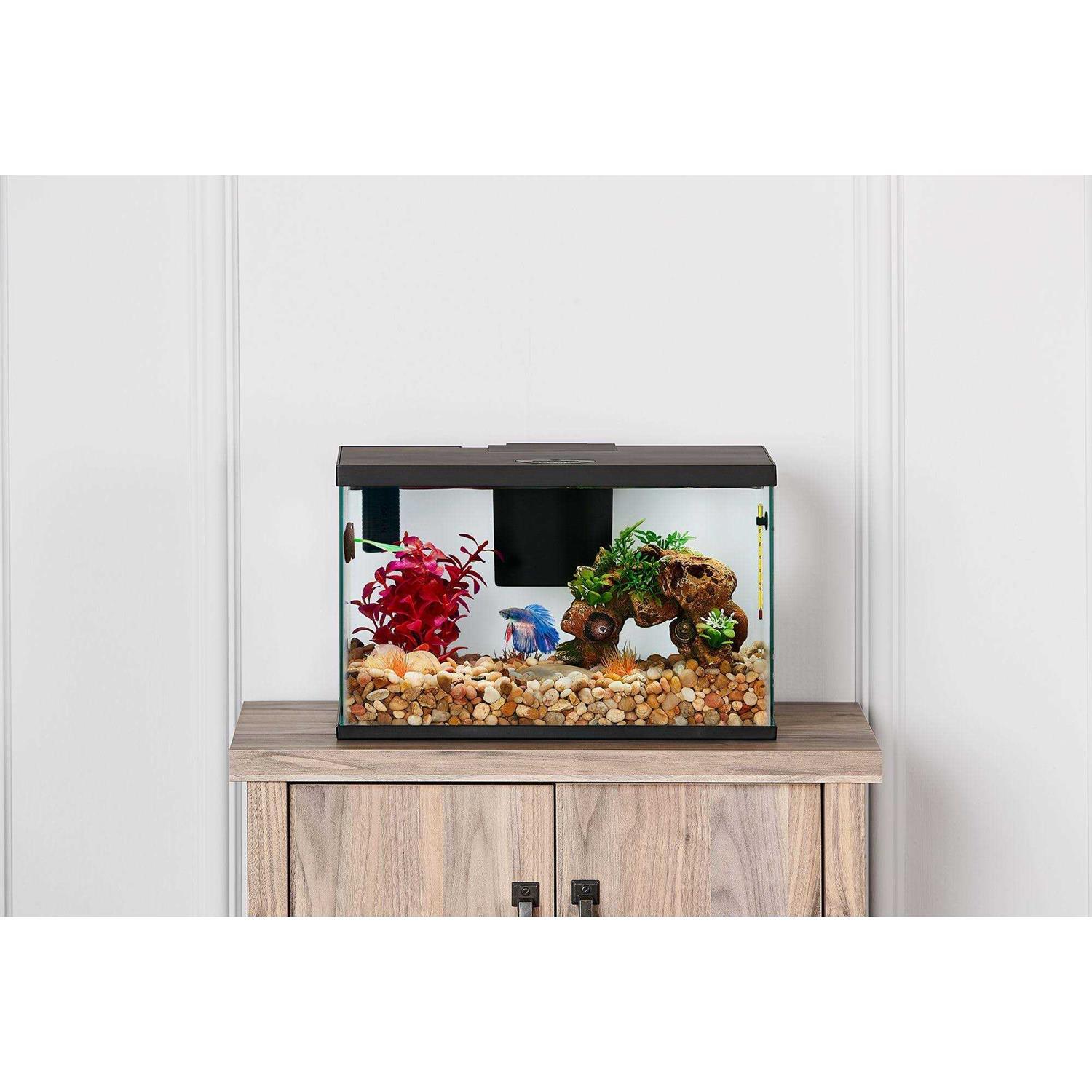 Top Fin Betta Tank Starter Kital - Pet Supplies online sale