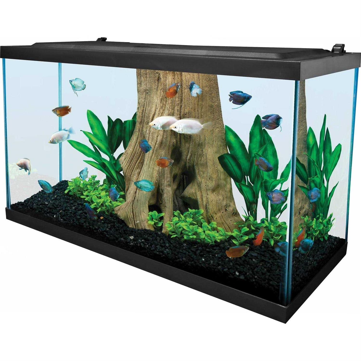 Tetra Glass Aquarium 29 Gallons - Pet Supplies online sale