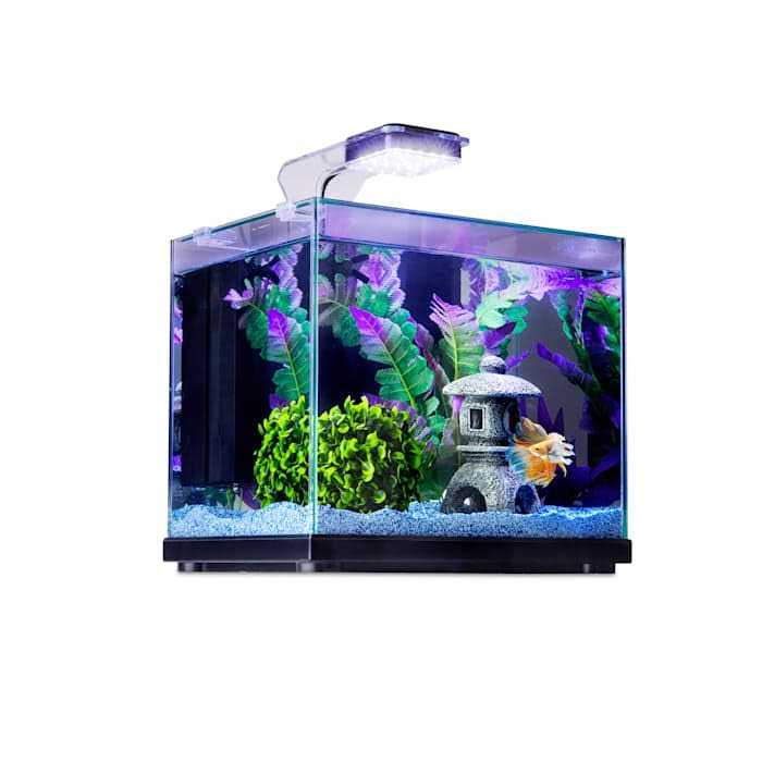 Imagitarium Glass Versa Aquarium - Pet Supplies online sale