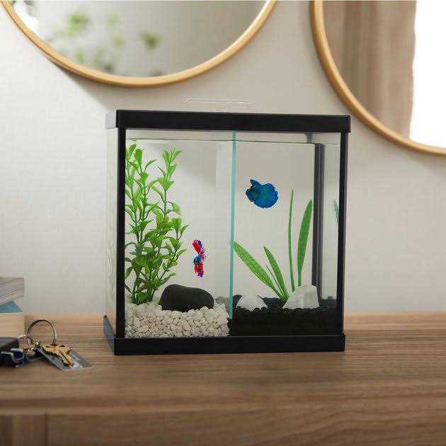 Frisco 2 Betta Aquarium with Divider/Top - Pet Supplies online sale