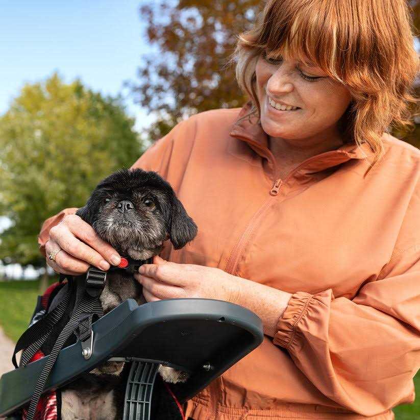 buddyrider bicycle pet seat