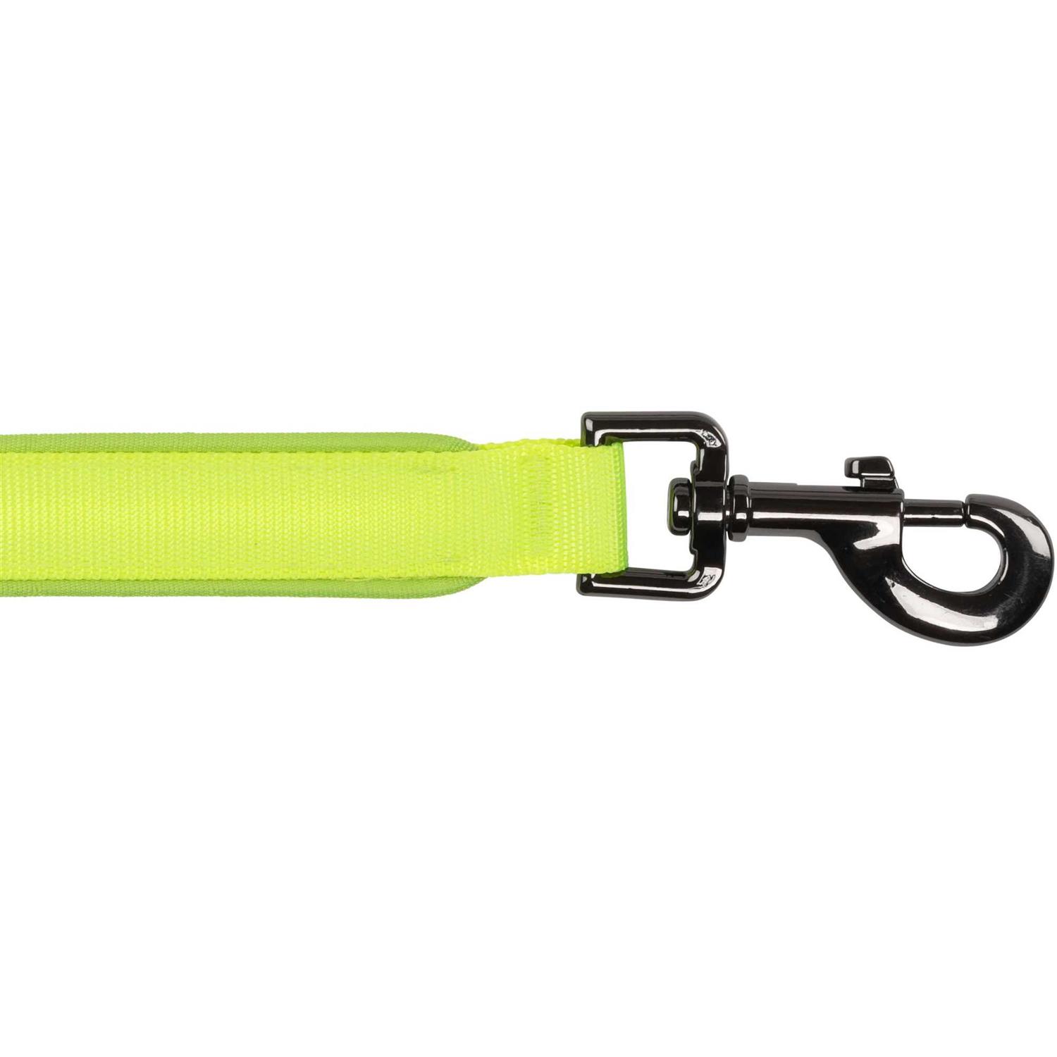 Nite Ize NiteDog Rechargeable LED Leash - Pet Supplies online sale