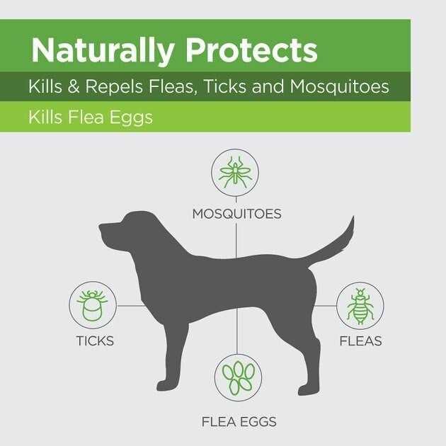 TevraPet Naturals Flea & Tick Topicals for Dogs 16 - Pet Supplies ...