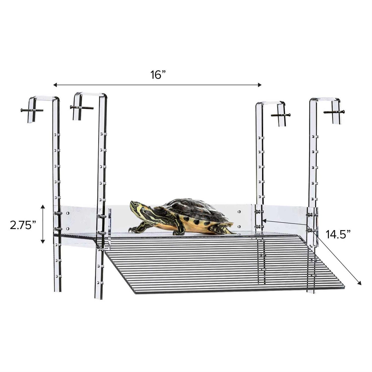 Labrinx Designs Extra Large Wide Hanging Turtle Ramp - Pet Supplies ...