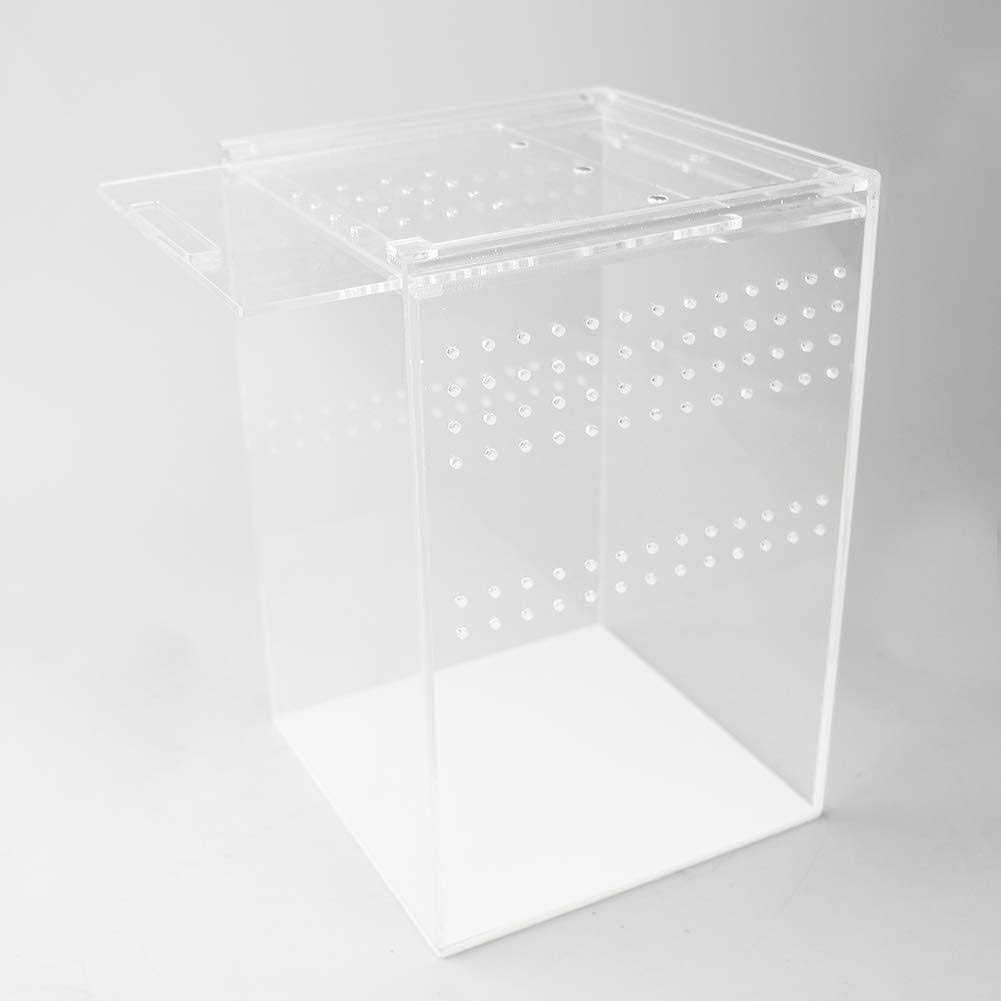 NANEEZOO Magnetic Acrylic Reptile Cage 6x6x9 Tall Enclosure Transparent ...