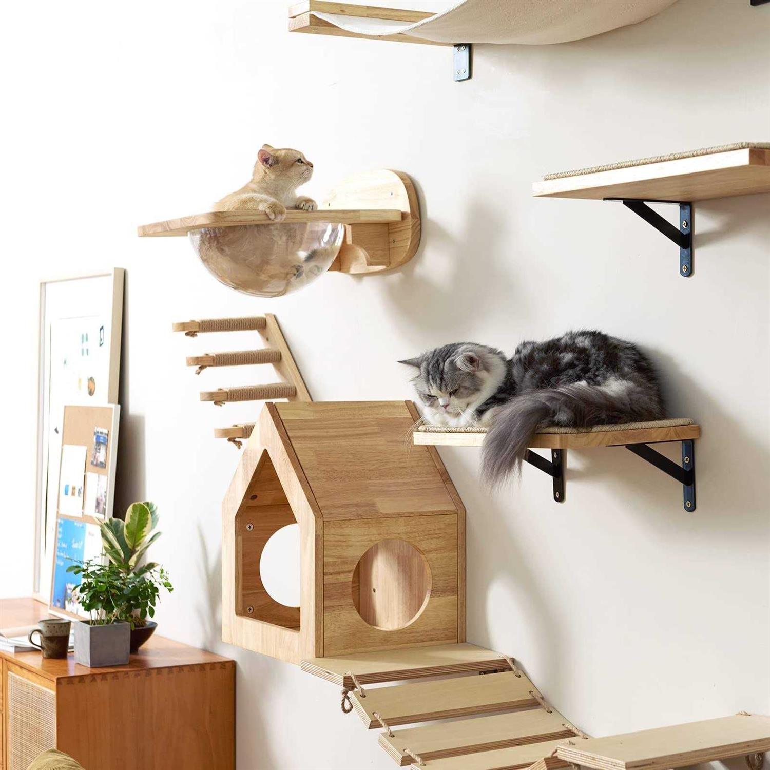 FUKUMARU Cat Wall Furniture Set Transparent Capsule Cat Wall Shelves ...